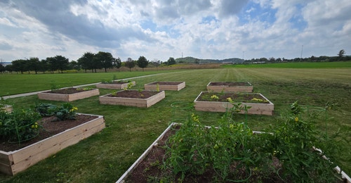 Conestoga community garden