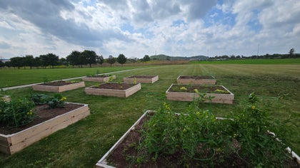 Conestoga community garden