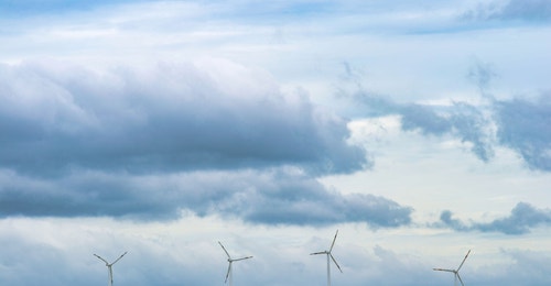 Windmills in a field 