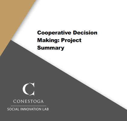 Cooperative Decision Making: Project Summary