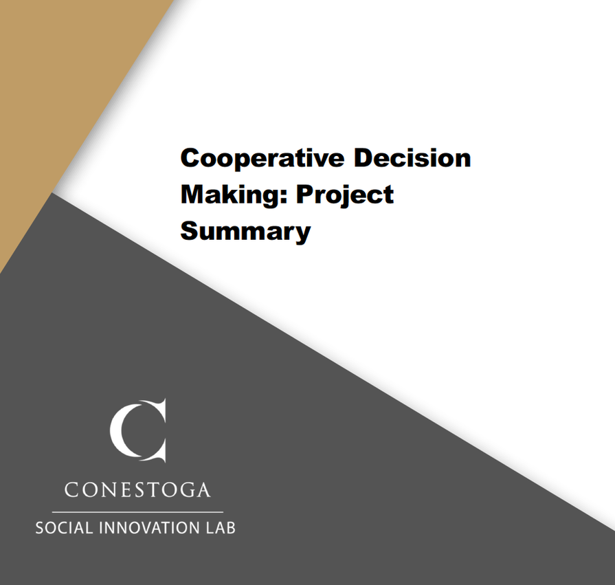 Cooperative Decision Making: Project Summary
