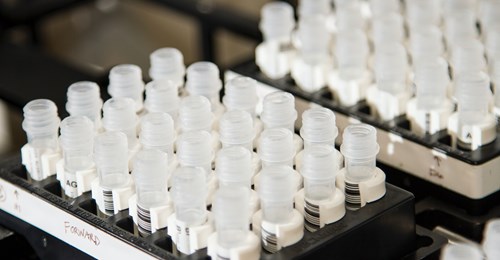 A tray of tubes in a lab