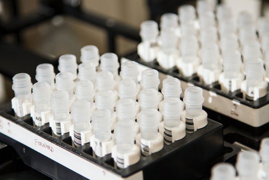 A tray of tubes in a lab