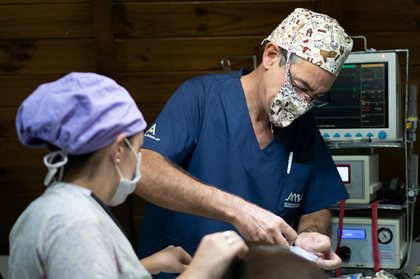 A doctor operates on a patient