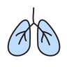Icon of a pair of lungs.